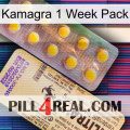 Kamagra 1 Week Pack new06